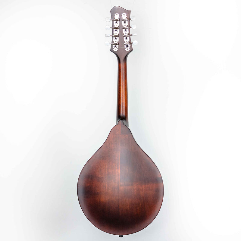 Eastman MD305 Classic