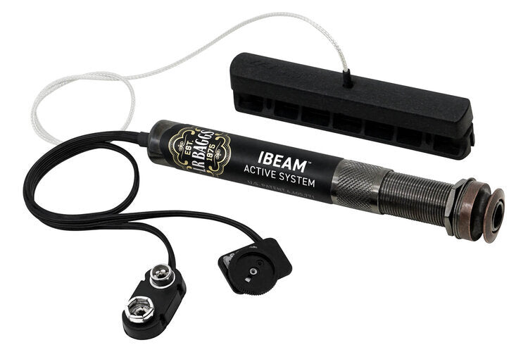 LR Baggs iBeam active system