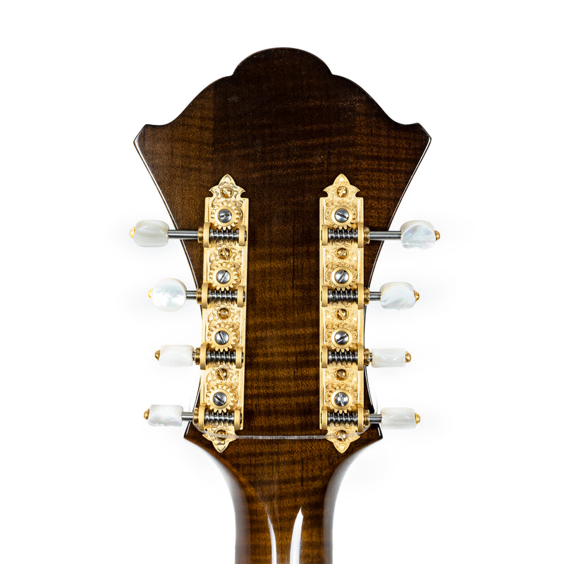 Monteleone 2021 Grand Artist Mandocello #211