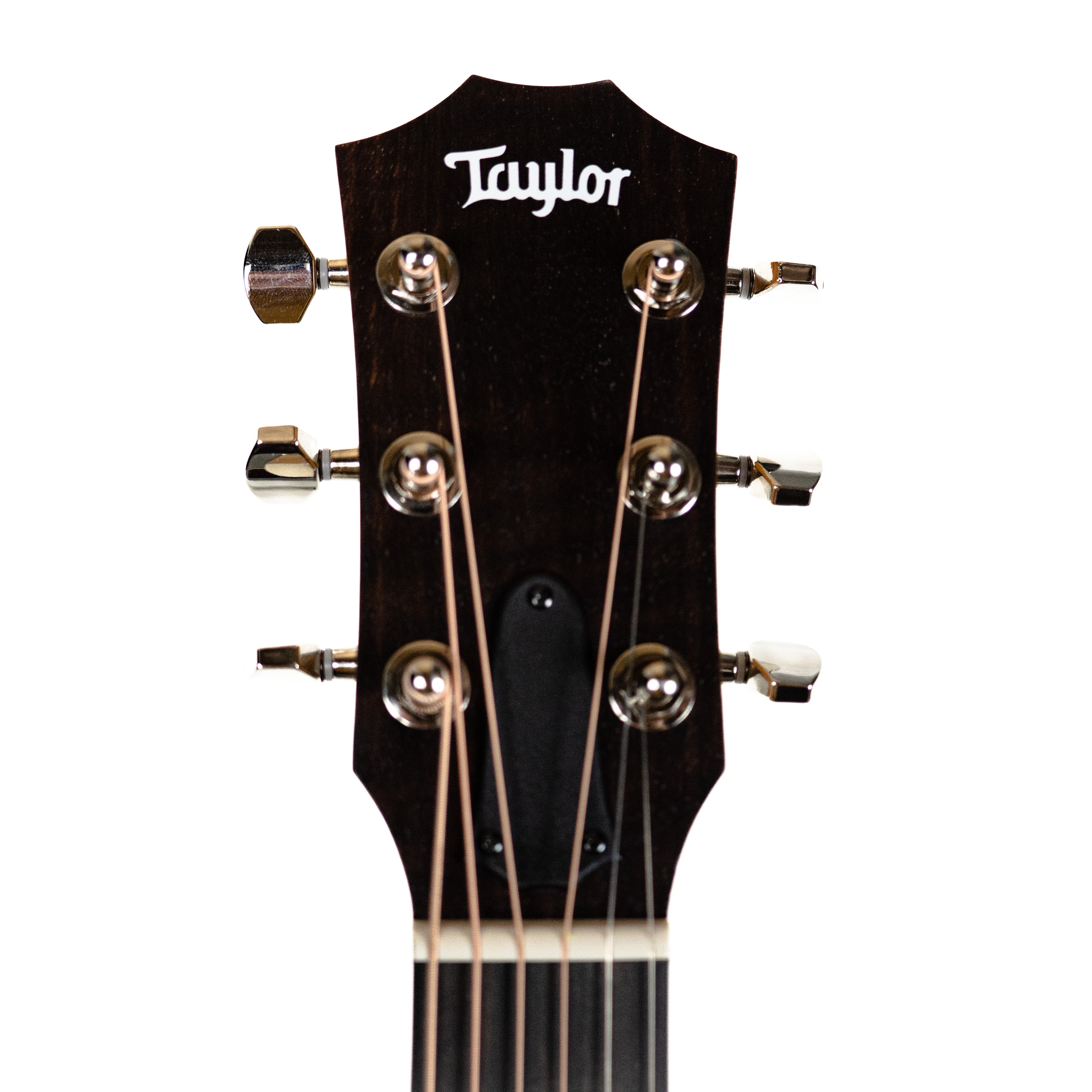 Taylor GS Mini-e Rosewood Plus